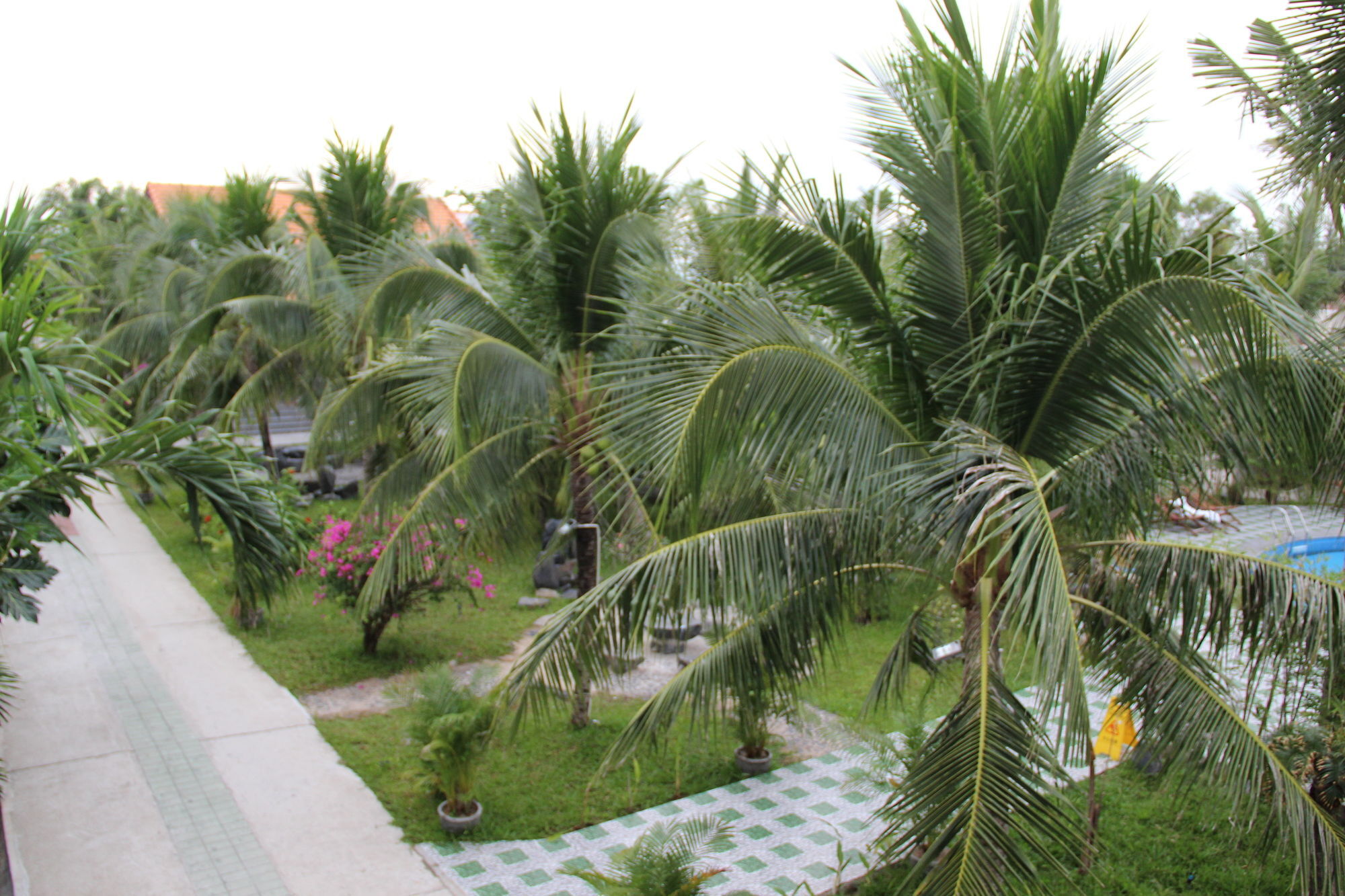 Gm Doc Let Beach Resort & Spa Ấp Ninh Hòa  Εξωτερικό φωτογραφία