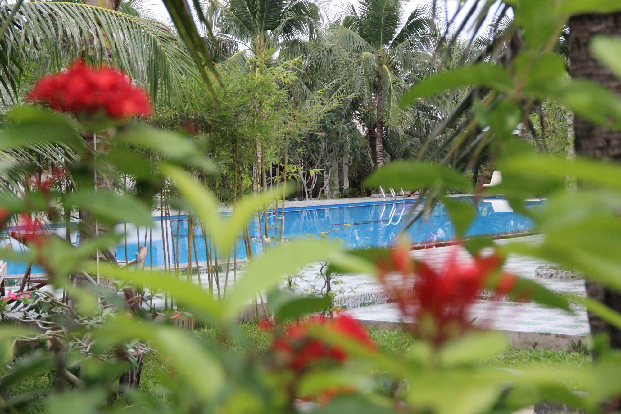 Gm Doc Let Beach Resort & Spa Ấp Ninh Hòa  Εξωτερικό φωτογραφία