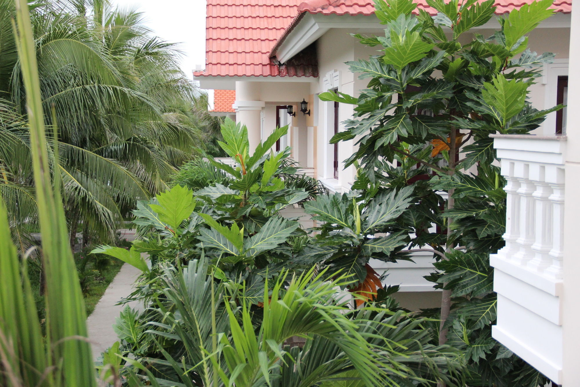 Gm Doc Let Beach Resort & Spa Ấp Ninh Hòa  Εξωτερικό φωτογραφία