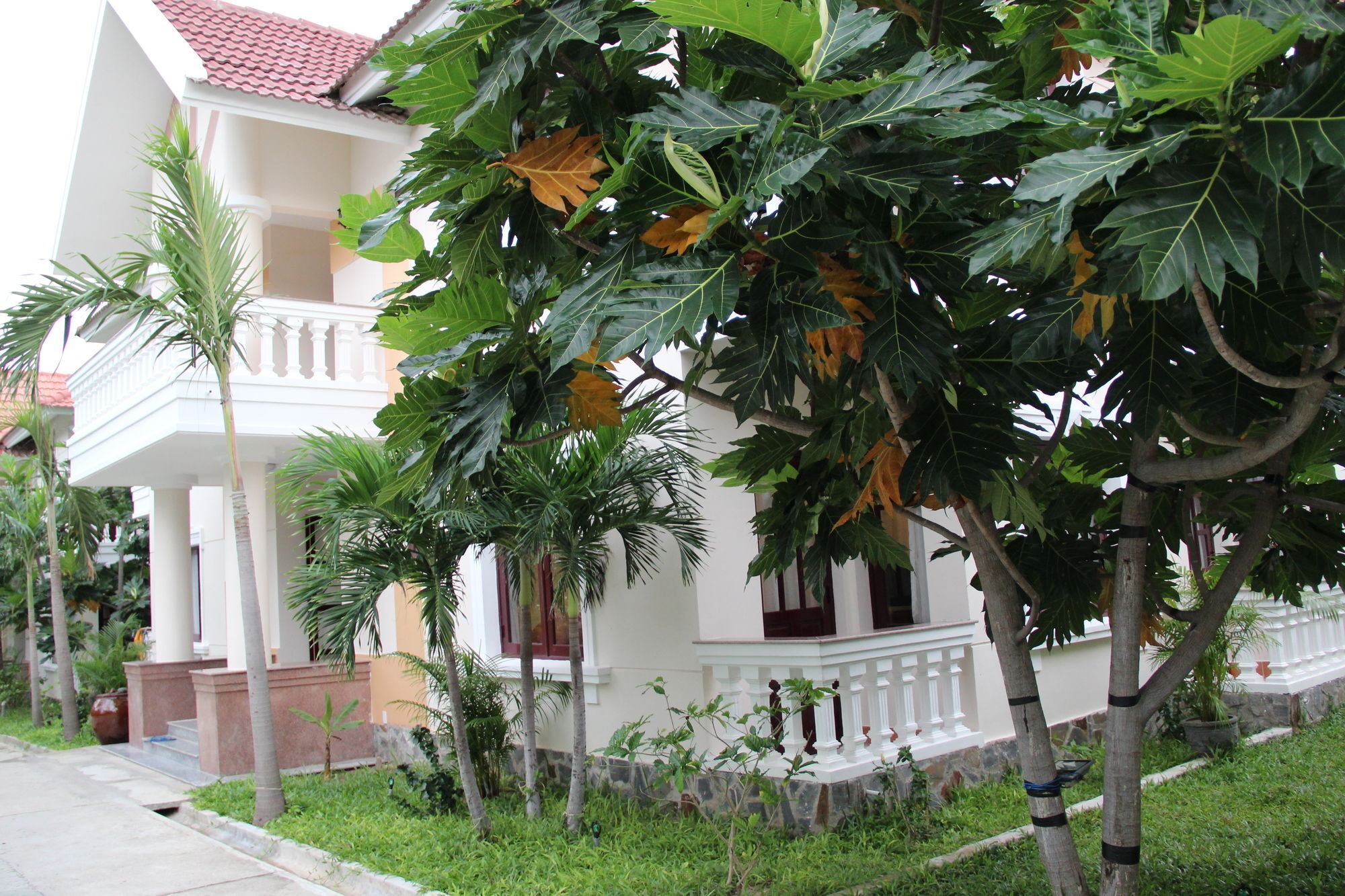 Gm Doc Let Beach Resort & Spa Ấp Ninh Hòa  Εξωτερικό φωτογραφία